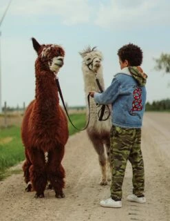 Denim Snake Sherpa Jacket -Clothing Shop denim denim snake sherpa jacket lola the boys 28236925960294