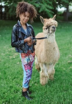 Infinity Stone Gem Vegan Jacket 25 Infinity Stone Gem Vegan Jacket -Clothing Shop jackets bombers infinity stone gem vegan jacket lola the boys 28236890112102