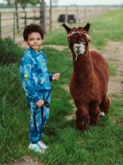 Deep In Space Set 14 Deep In Space Set -Clothing Shop set deep in space set lola the boys 28236894437478