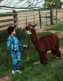 Deep In Space Set 15 Deep In Space Set -Clothing Shop set deep in space set lola the boys 28236894568550