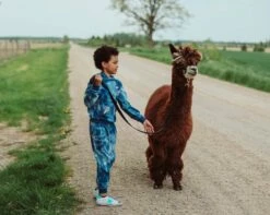 Deep In Space Set 16 Deep In Space Set -Clothing Shop set deep in space set lola the boys 28236894634086