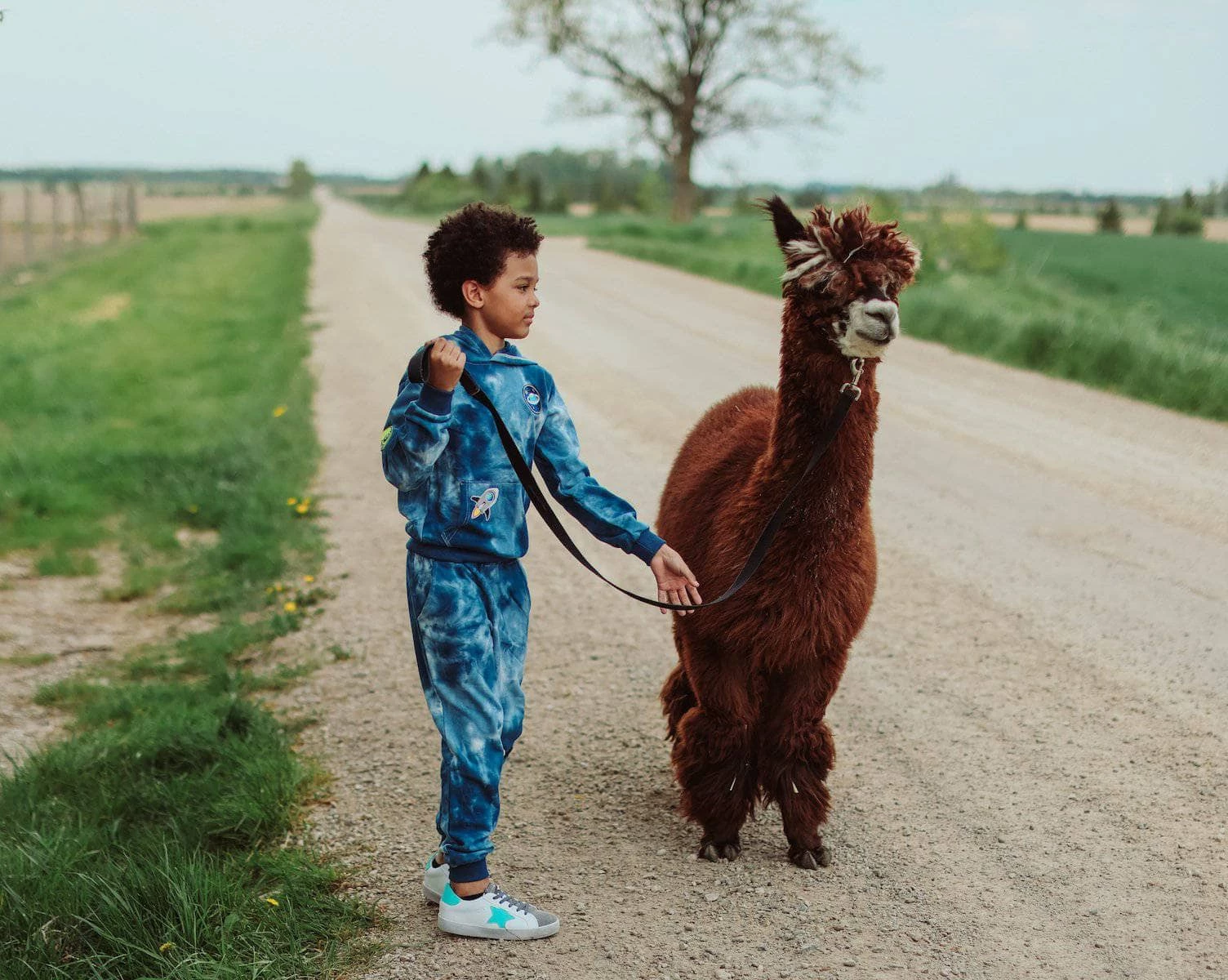 Deep In Space Set 7 Deep In Space Set - Image 7