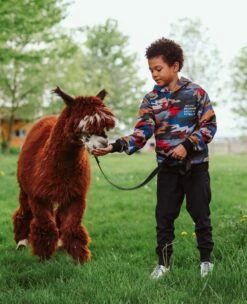 Camo "Fitting In" Set -Clothing Shop sweaters sweatshirts camo fitting in hoodie lola the boys 28236992020582