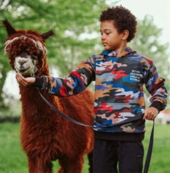 Camo "Fitting In" Set -Clothing Shop sweaters sweatshirts camo fitting in hoodie lola the boys 28236992053350